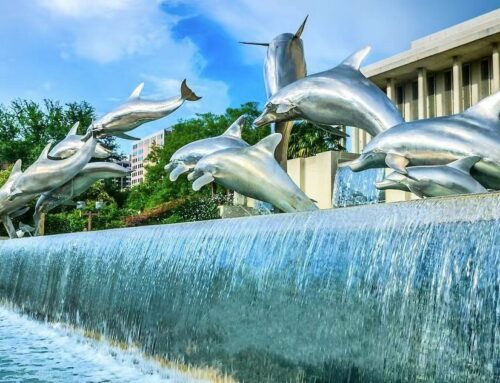 stainless steel dolphin fountain