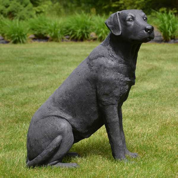 Aongking finished bronze dog statue (1)