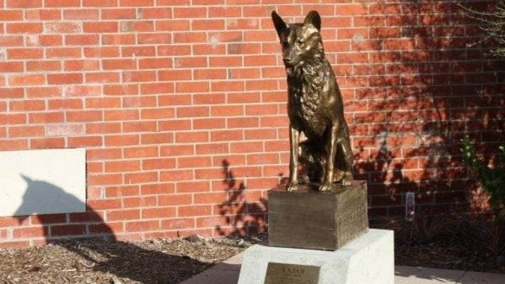 memorial bronze dog statue (1)